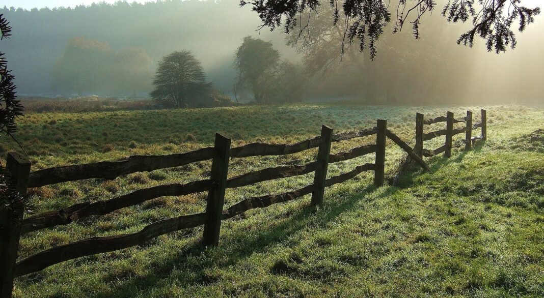 Privatni AI alati za poslovanje