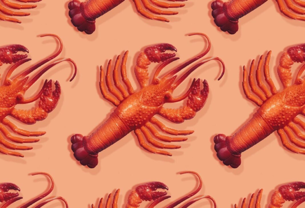 Moltbot: Novi AI asistent s morskim motivima