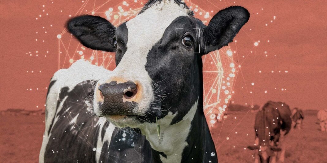 AI i dobrobit životinja: budućnost ili hipoteza?