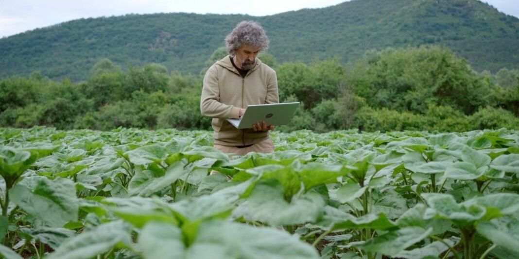 Umjetna inteligencija u poljoprivredi: Temelj je ključan